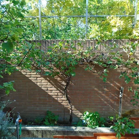 Venezia Solleone Holiday home Cavallino-Treporti